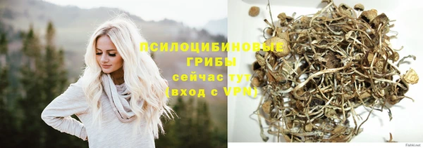 МДПВ Белокуриха